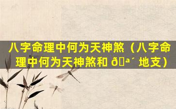 八字命理中何为天神煞（八字命理中何为天神煞和 🪴 地支）